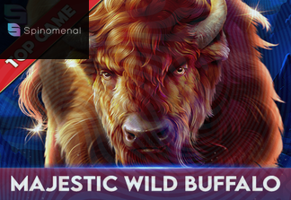 Majestic Wild Buffalo